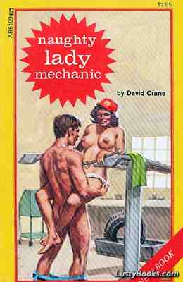 Naughty Lady Mechanic