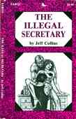 The Illegal Secretary
